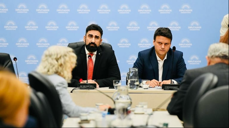 El diputado nacional del PRO Alejandro Bongiovanni presentó un proyecto acompañado por La Libertad Avanza (FOTO: @alejobongio)