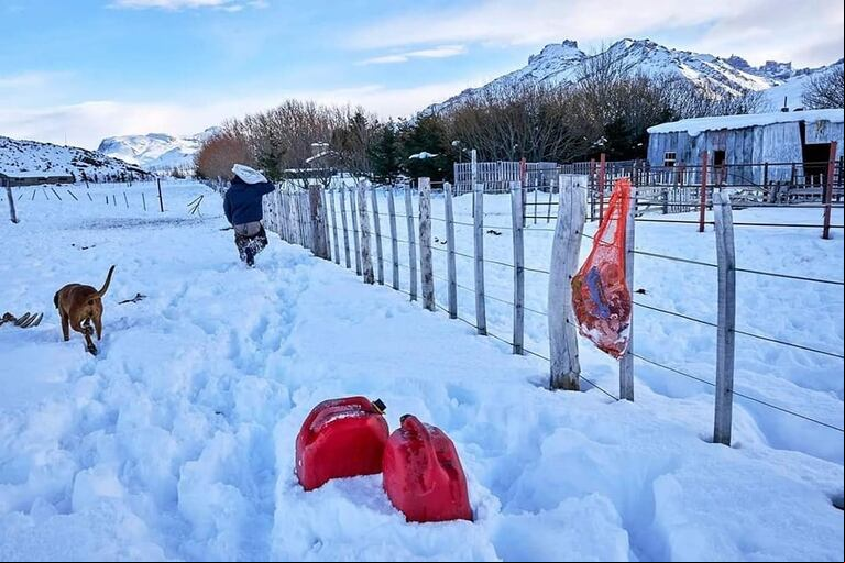 El drama de un puestero aislado por el temporal de nieve que se negó a ser evacuado, para no abandonar a sus perros. (Foto: gentileza Jornada).