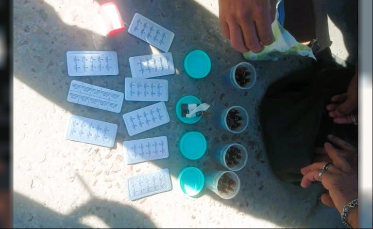 El enfermero quedó detenido y le incautaron distintos tipos de droga. (Foto: NA)