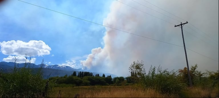 El equipo del INTA Sur brindó recomendaciones para recuperar los suelos afectados por el fuego y promover la regeneración agroforestal. (Foto: INTA).