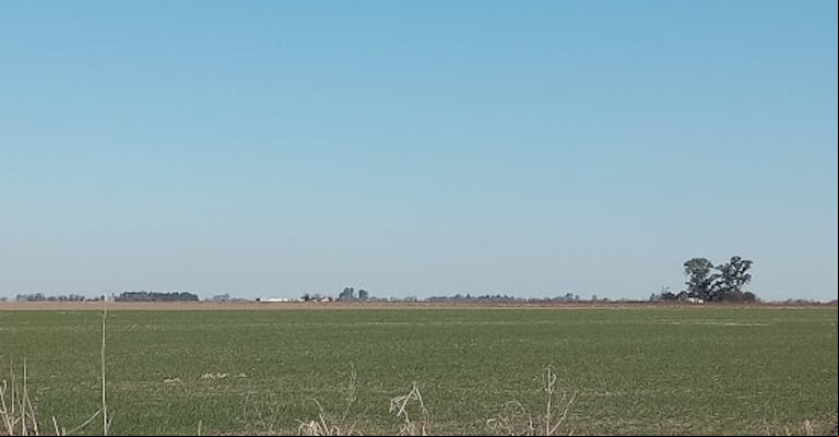 El fallo judicial ratificó el cálculo del Impuesto Inmobiliario Rural realizado por ARBA y rechazó el amparo de los productores. (Foto: TN).