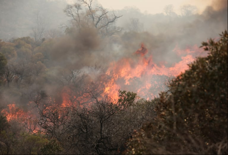 El fuego consume vegetación en San Marcos Sierra. Foto: REUTERS/Stringer