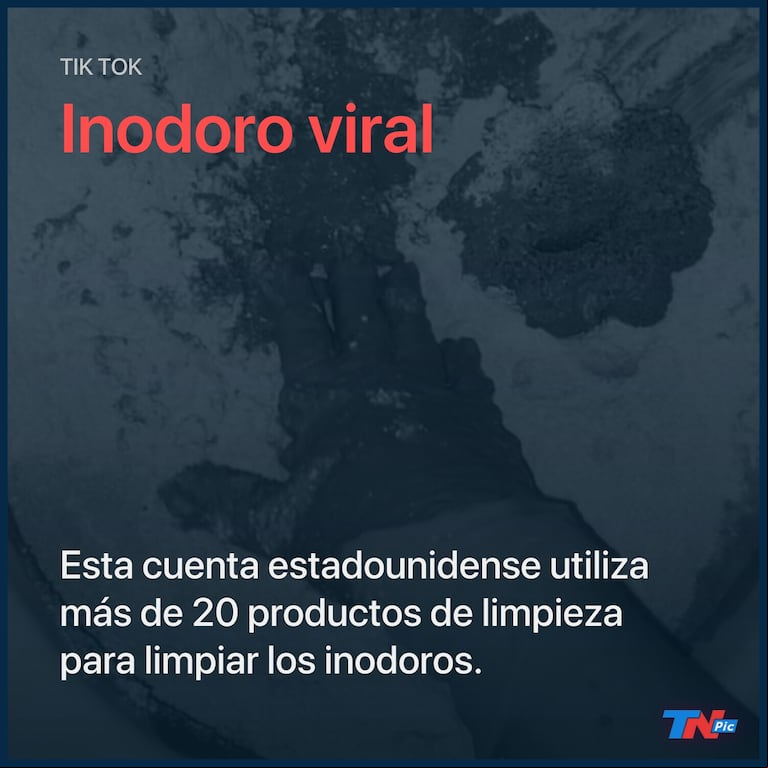 El furor menos pensado: una cuenta de TikTok se volvió viral por mostrar cómo limpiar inodoros