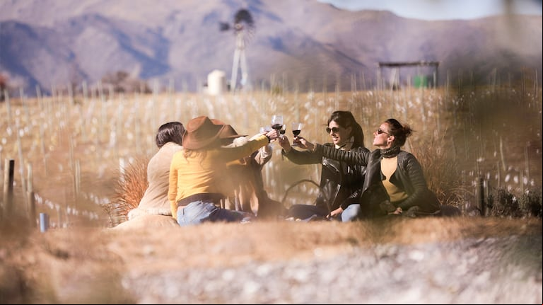 El Gobierno anunció la eliminación de trabas burocráticas para la práctica de desalcoholización del vino. (Foto: Córdoba turismo)