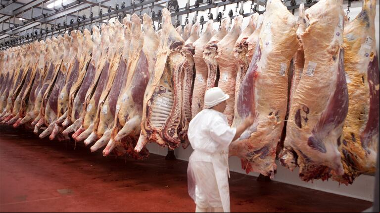 El Gobierno chino decidió analizar la evolución de las importaciones de carne entre 2019 y 2024, y su impacto en el mercado doméstico.. (Foto: SENASA).