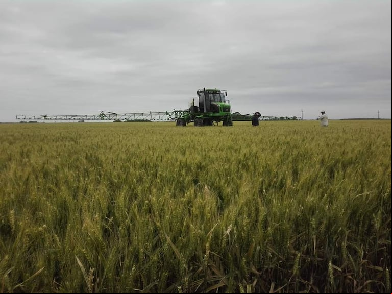 El Gobierno de la provincia de Buenos Aires decidió prorrogar por 210 días la suspensión de la resolución 246/18, argumentando la necesidad de ajustar herramientas consensuadas en el Observatorio Técnico de Agroquímicos. (Foto: TN).