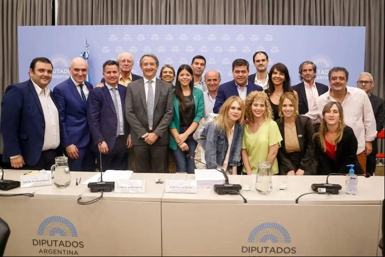 El Gobierno se apura a contener la interna libertaria en Diputados antes de que se traten iniciativas clave en el Congreso. (Foto: Instagram / lulumicart).