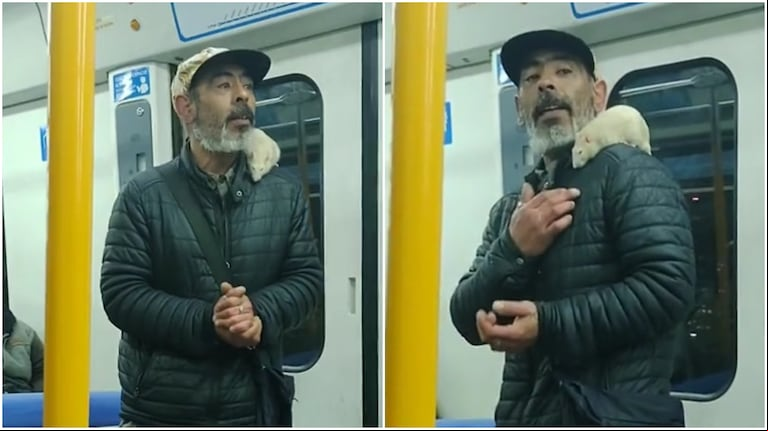 El hombre les propuso a los pasajeros vencer su miedos junto a su compañero de viaje, Stuart. (Foto: TikTok/fr4nchute)