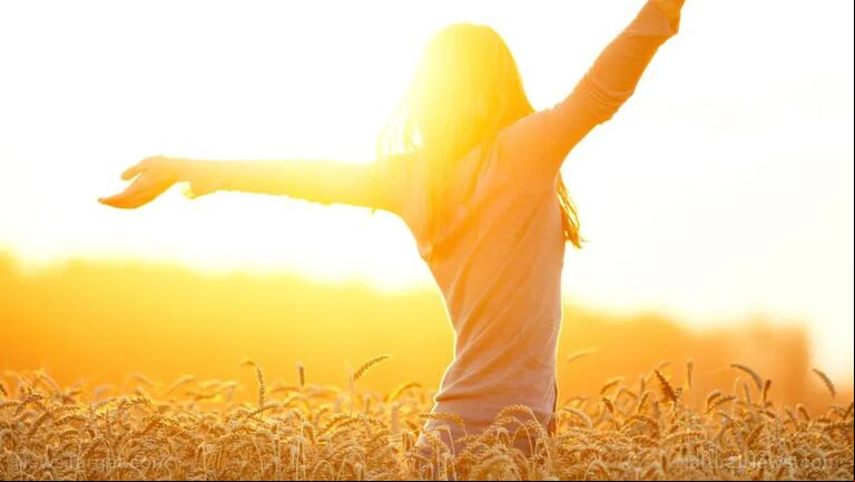 El impacto de la vitamina D en la salud.