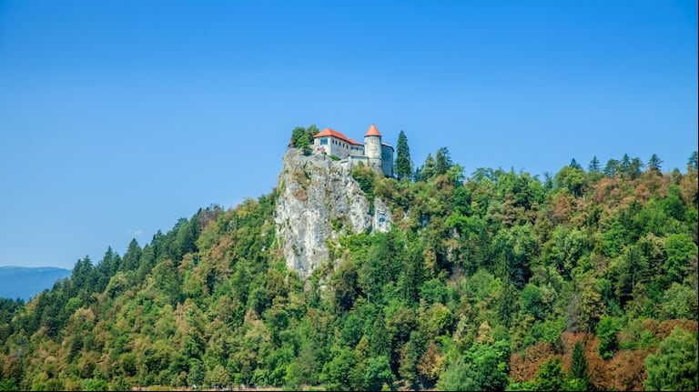 El increíble hallazgo, valuado en 300.000 dólares, ocurrió en el Parque nacional Krkonoše, en República Checa. (Foto: Ilustrativa/Freepik)