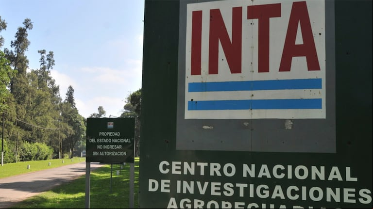 El INTA, en el centro de la agenda de reestructuración estatal. (Foto: INTA). 