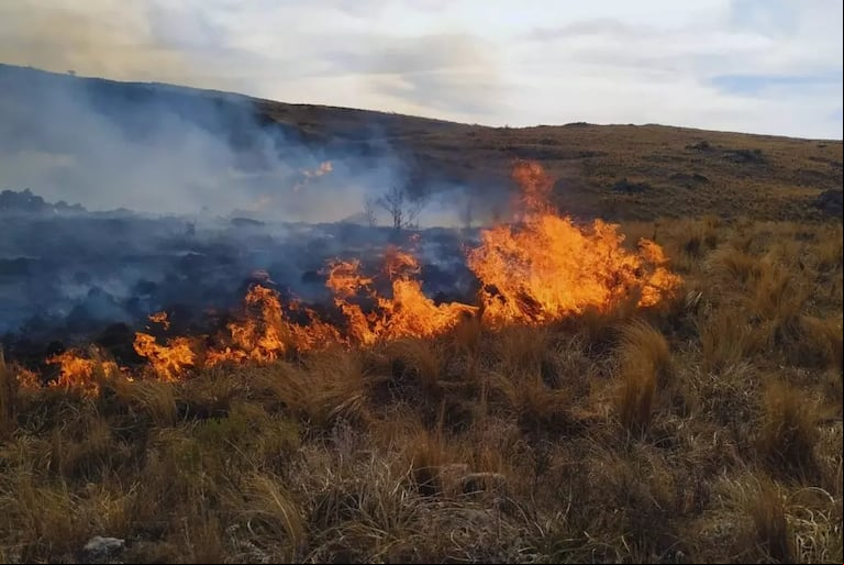 El INTA y la Asociación Rural Sierras Chicas refuerzan la prevención de incendios en la región.(Foto: INTA).