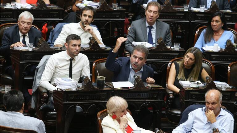 El jefe de bloque del PRO en Diputados, Cristian Ritondo (Foto: NA).