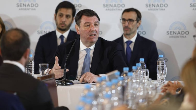 El juez federal, Ariel Lijo, en su presentación en el Senado en defensa de su candidatura a la Corte Suprema. (Foto: NA - Daniel Vides)