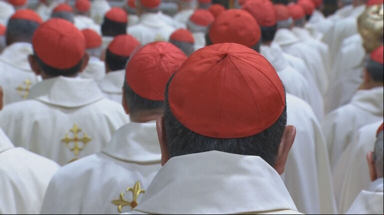 El papa León XIV le pidió a los cardenales que lo acompañen. (Foto: captura de video TN).