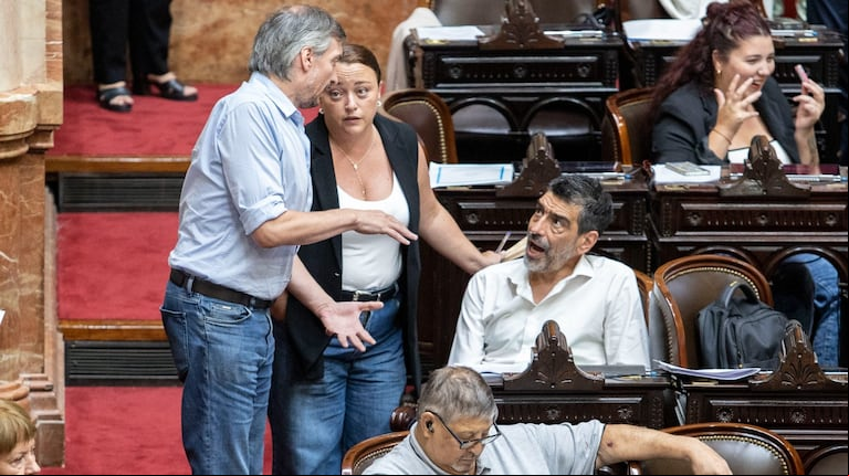 El peronismo sospecha que Martín Menem suspendió la sesión para evitar la votación de tres proyectos contra Javier Milei y evalúa pedir su renuncia (Foto: Damián Dopacio/NA).