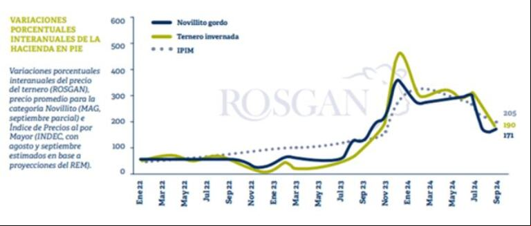 El precio de la hacienda de carne pierde ante la inflación por la caída del poder adquisitivo de los salarios