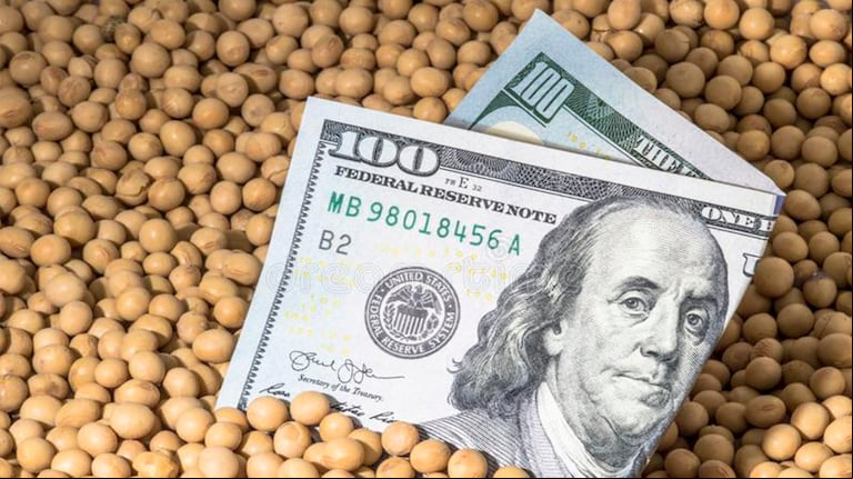 El precio en dólares del maíz para los productores está en máximos desde 2016. Por otro lado, con mejores valores medidos en la moneda norteamericana y en plena cosecha, se acelera la comercialización de la soja. (Foto: BCCBA).