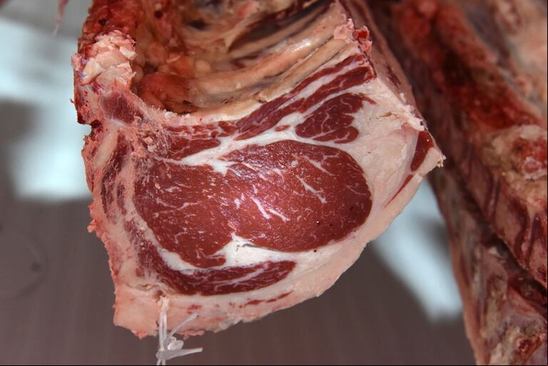 El precio promedio de la carne vacuna en agosto se incrementó un 1,2% si se lo compara con la medición del mes anterior. (Foto: SAGyP).