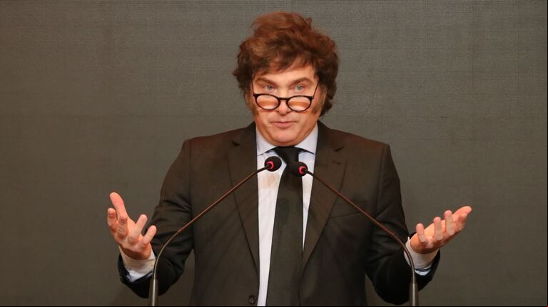 El presidente Javier Milei expondrá ante empresarios durante el debate de la Ley Bases en el Senado. (Foto: NA)