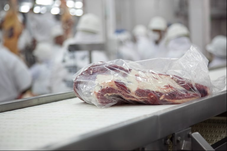El principal destino de exportación de carne vacuna argentina en 2024 fue China, seguido por la Unión Europea, Israel, Estados Unidos y Chile. (Foto: SAGyP).