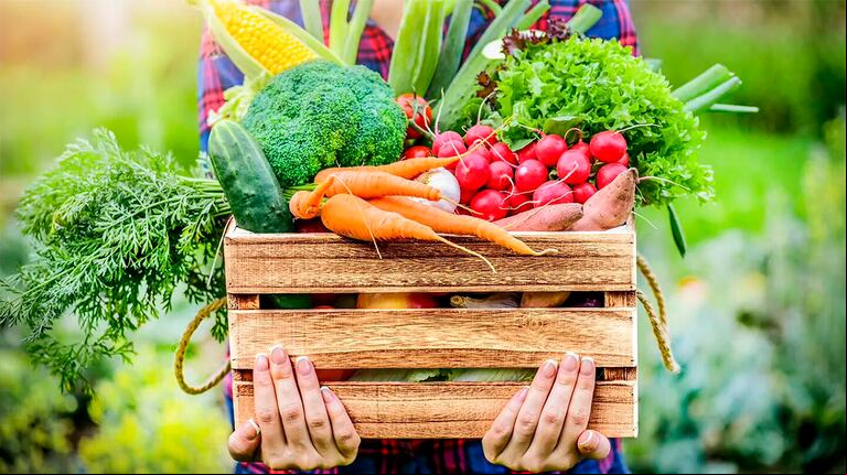 El “Semáforo de Economías Regionales”, que elabora Coninagro,  busca simplificar la complejidad y heterogeneidad de la producción en el campo hacia una herramienta visual de análisis. (Foto: Adobe Stock)