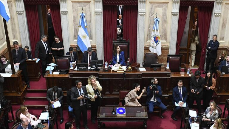 El Senado emitió dos dictamenes de comisión para el proyecto de Boleta Única (Foto: Telam)