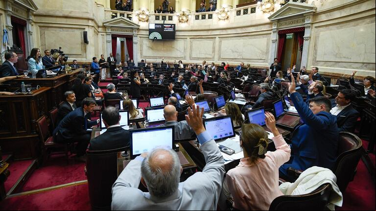 El Senado podría rechazar ambos pliegos para la Corte Suprema y complicar el ingreso de Lijo y Mansilla a la Corte. (Foto: Senado)