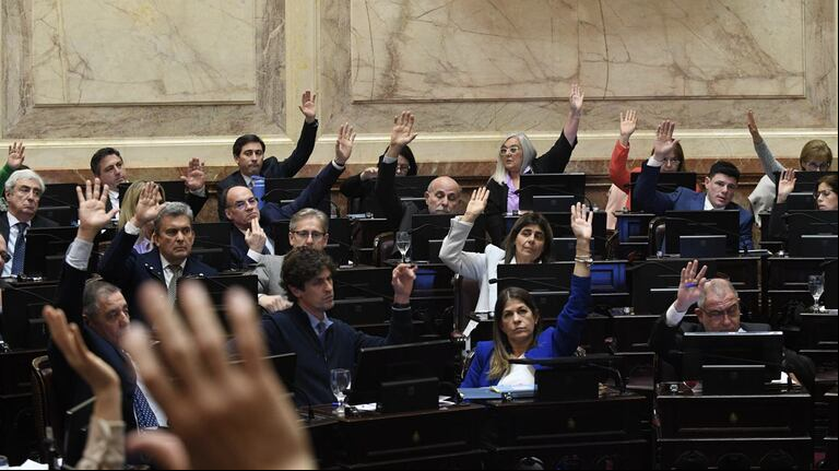 El Senado revirtió el aumento de sus salarios luego de las críticas de la Casa Rosada. Qué medida se tomó. (Foto: TN).