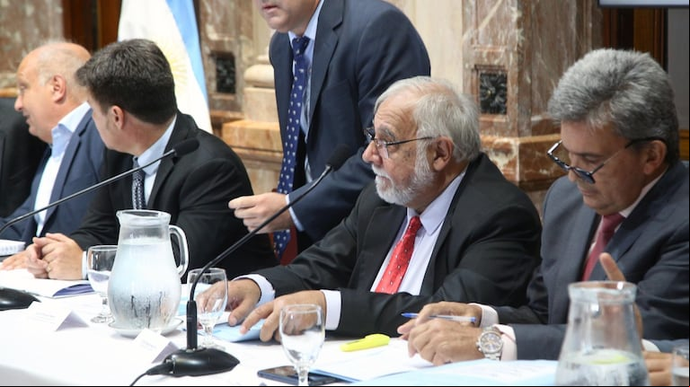 El senador de La Libertad Avanza Juan Carlos Pagotto presidirá la Bicameral de Trámite Legislativo que debe analizar el DNU (Foto: NA).
