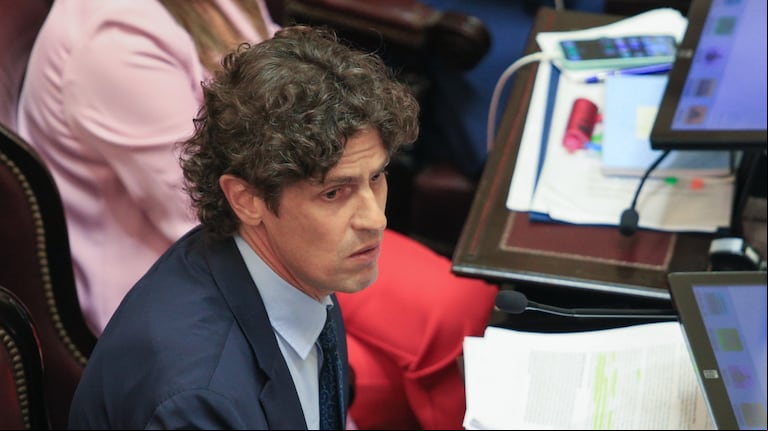 El senador de la UCR y presidente del partido, Martín Lousteau. (Foto: NA - Damián Dopacio)
