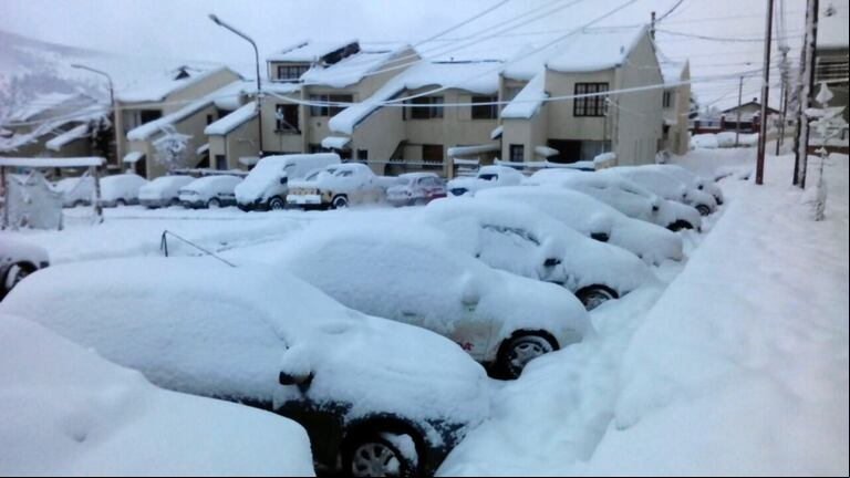 El SMN lanzó un alerta amarillo por nevadas para Mendoza y Neuquén. (Foto: gentileza La opinión austral)