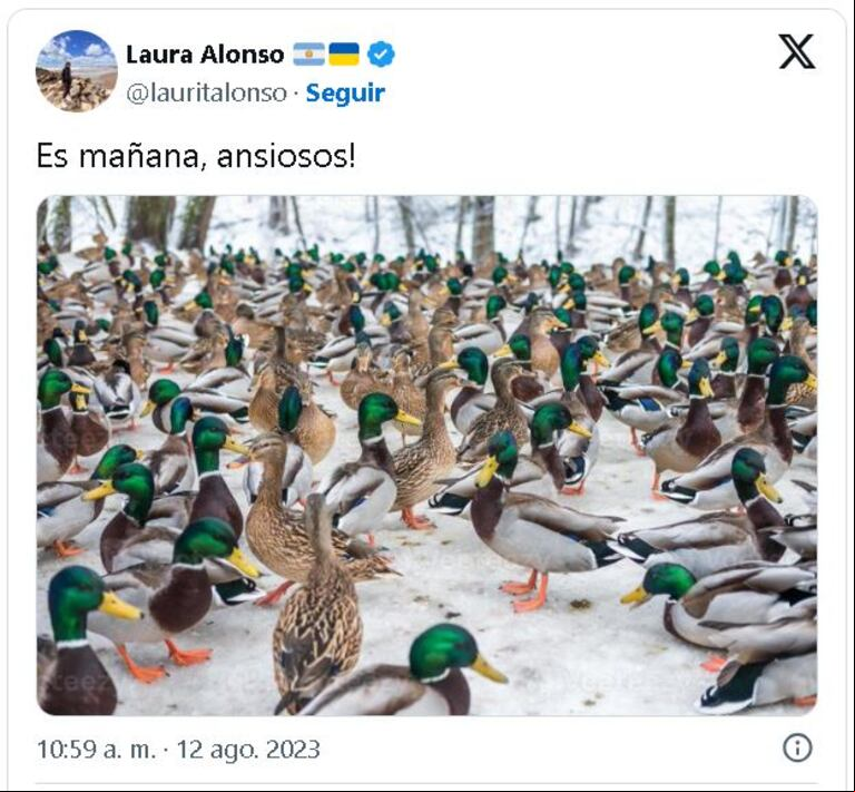 El tuit de una exdiputada nacional de la oposición. (Foto: Twitter / @lauritaalonso)
