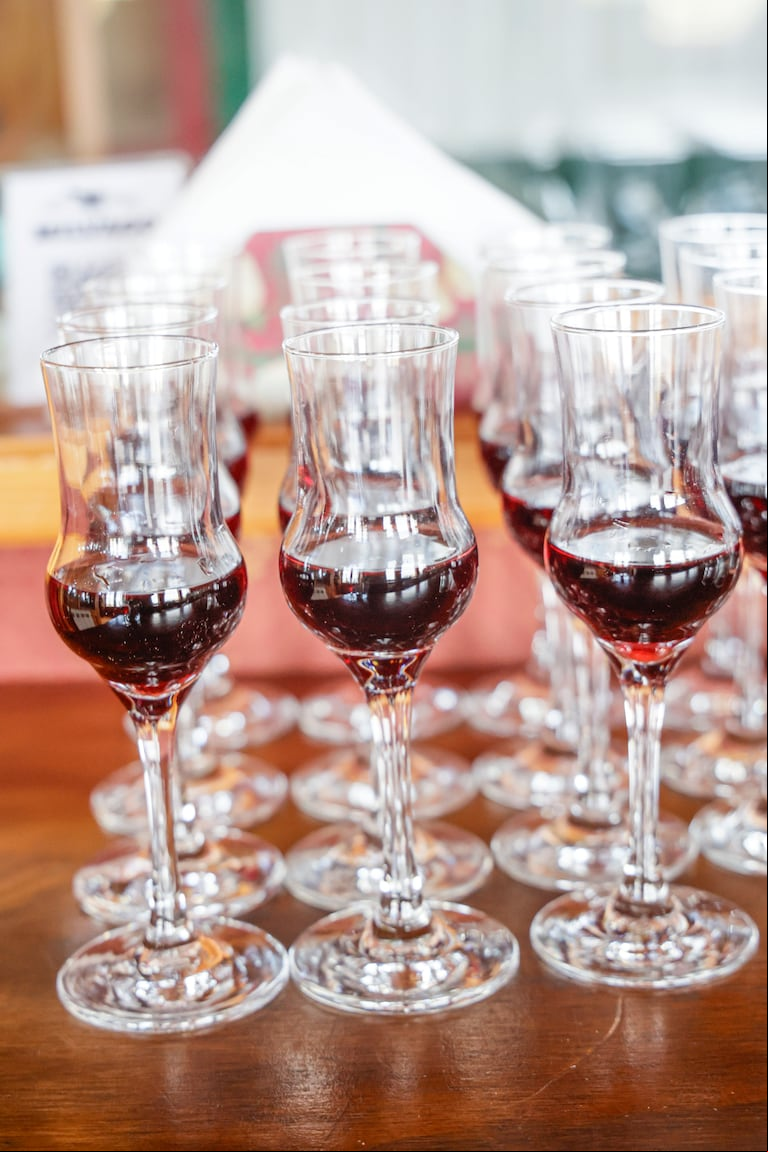 El vermouth tiene Diente de león, Palo, Paico y frutos rojos de la Patagonia. (Foto: Chiwifoto/Bariloche a la Carta)
