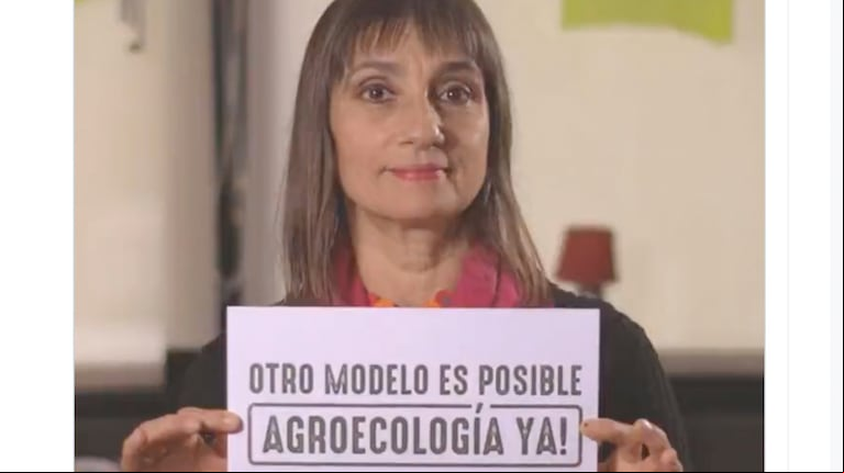 El video protagonizado por Leonardo Sbaraglia, la actriz Laura Azcurra, la cantante Hilda Lizarazu, el periodista Alejandro Bercovich, el chef Francis Mallmann, entre otros, continúa recibiendo críticas del agro. Foto: Twitter: @bastadevenenos.
