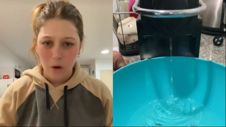 El video se volvió viral en TikTok. Foto: TikTok/@camidepandora