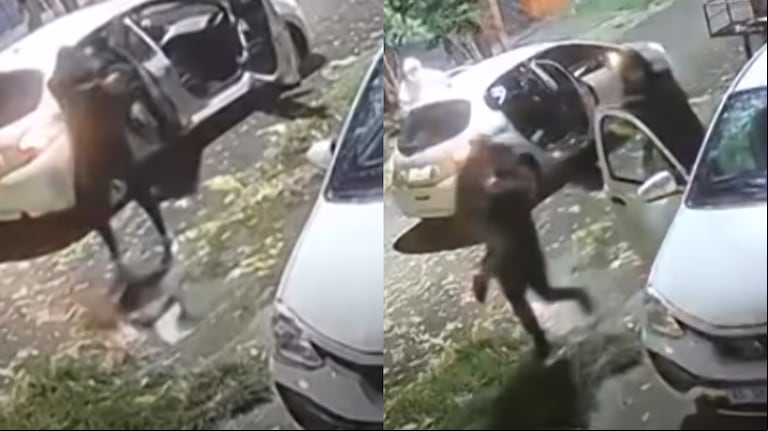 El violento robo ocurrió en la localidad bonaerense de Ingeniero Budge. (Foto: captura 24con)