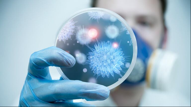 El virus muta y por eso es importante seguir la vacunación cada año.