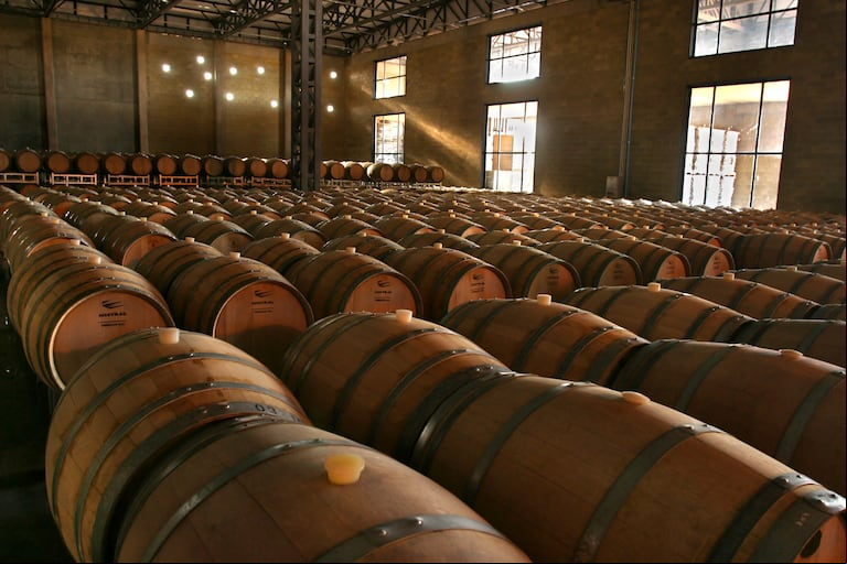 En Bodega Fin del Mundo, creen que el vino orgánico es una tendencia que llegó para quedarse. (Foto: gentileza Bodega Fin del Mundo).