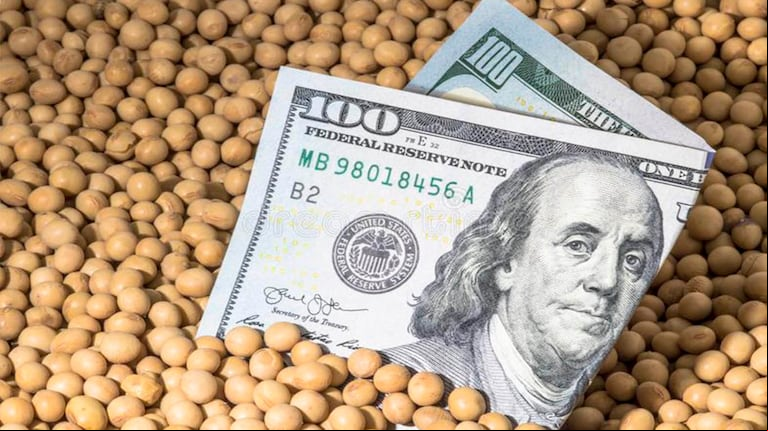 En la antesala del levantamiento del cepo cambiario, que se concretará el lunes según lo anunciado por el Gobierno tras el cierre del mercado, la soja ganó $5000 (1,54%) y cerró este viernes a $330.000 por tonelada. (Foto: BCCBA)