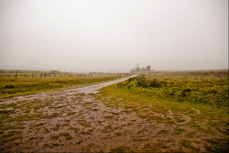 En La Pampa, las lluvias fueron desiguales, con picos de 57 mm en Caleufú y 36 mm en Trebolares, mientras que en otras zonas como Tomas Manuel Anchorena se registraron solo 19 mm. (Foto: X Carbap).