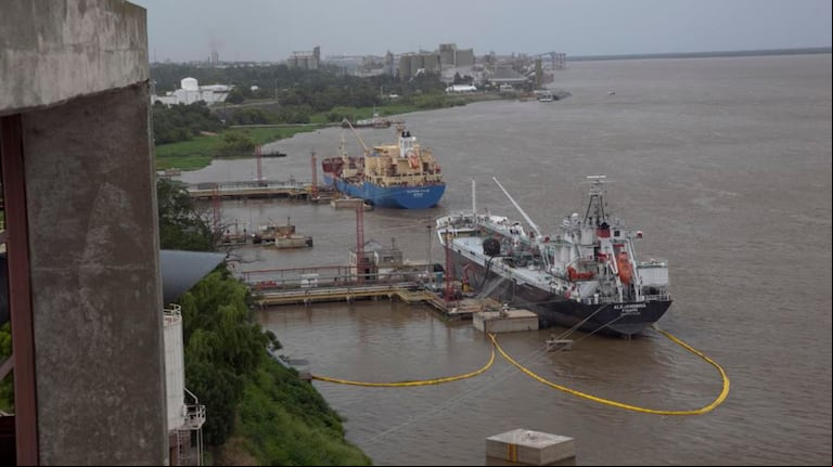 En lo que va de 2025, se lograron abrir 31 nuevos mercados y reabrir el mercado chino de carne aviar. (Foto: Secretaría de Agricultura) 