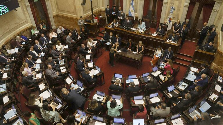 En sesión, los senadores deberán abordar el tema de sus dietas. (Fuente: NA/Daniel Vides)