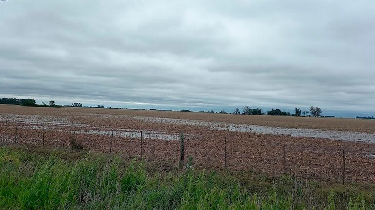 Enero finalizará con lluvias abundantes sobre el norte del área agrícola 