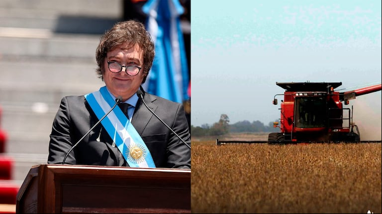 Entidades del agro se refirieron a la medida anunciada por el Gobierno de Javier Milei. (Fotos: Reuters)