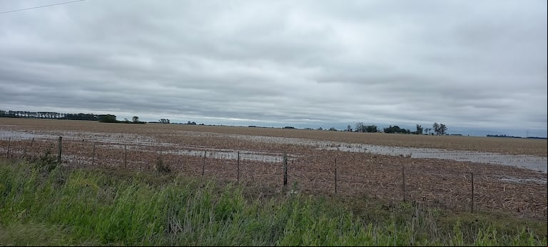 Espartillar, una localidad argentina del centro-oeste de la provincia de Buenos Aires, registró 18 milímetros de lluvia. (Foto: TN).