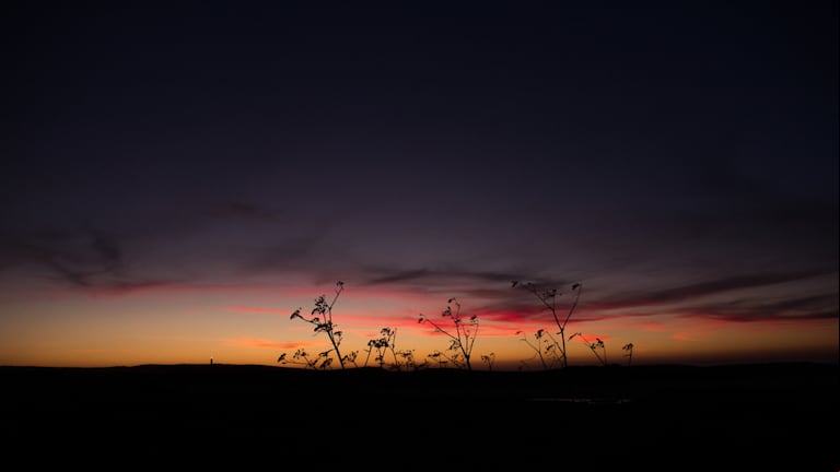 Este día representará el comienzo formal del invierno en los países que están por debajo de la línea del Ecuador en el hemisferio sur. (Foto: Freepik).