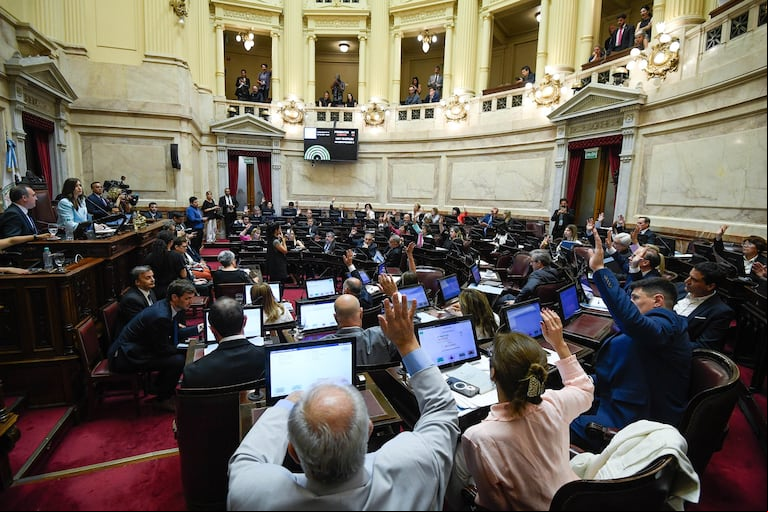 Este jueves podrían quedar suspendidas las PASO, tras la media sanción en Diputados. (Foto: Senado)