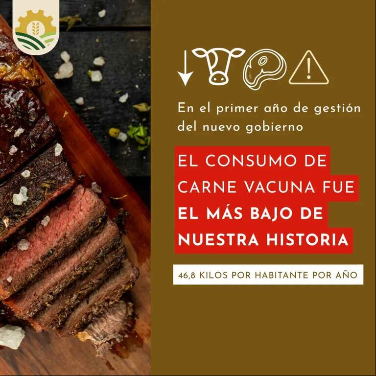 Ex funcionarios peronistas advierten que el consumo de carne vacuna cayó al nivel más bajo de la historia