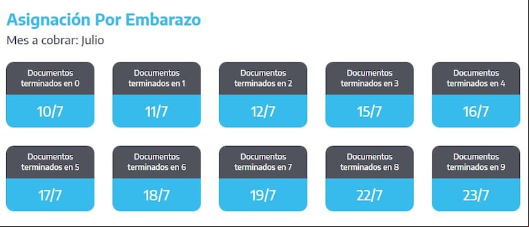Fechas de pago de la Asignación por Embarazo de la ANSES.